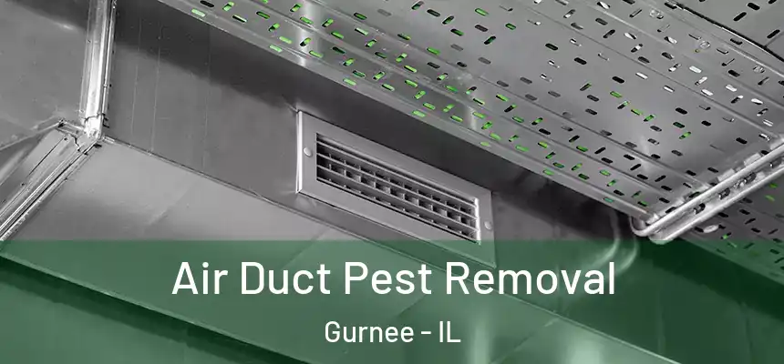  Air Duct Pest Removal Gurnee - IL