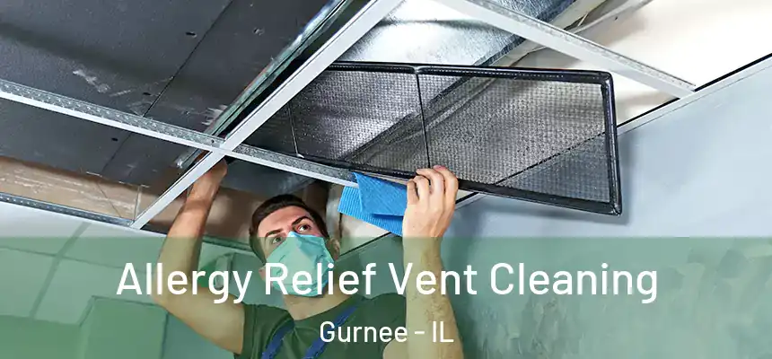Allergy Relief Vent Cleaning Gurnee - IL