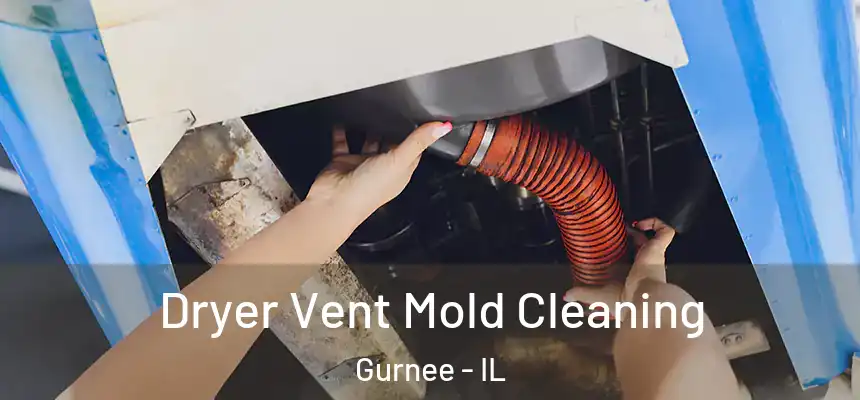  Dryer Vent Mold Cleaning Gurnee - IL