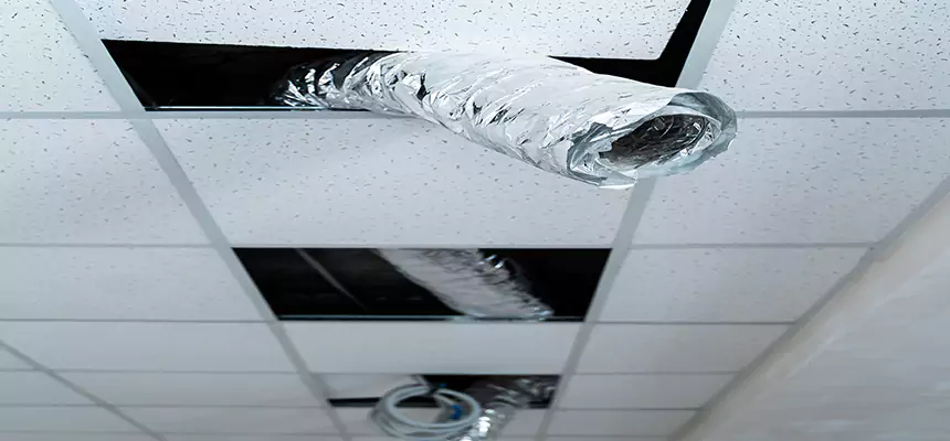 Our Air Duct Pet Hair Removal Services in Gurnee, IL