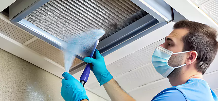 Proactive Dryer Vent & Auxiliary Duct Pollen Cleanup in Gurnee, IL