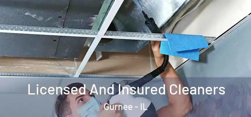 Licensed And Insured Cleaners Gurnee - IL