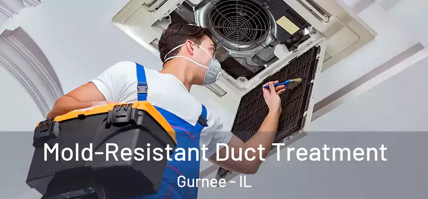  Mold-Resistant Duct Treatment Gurnee - IL