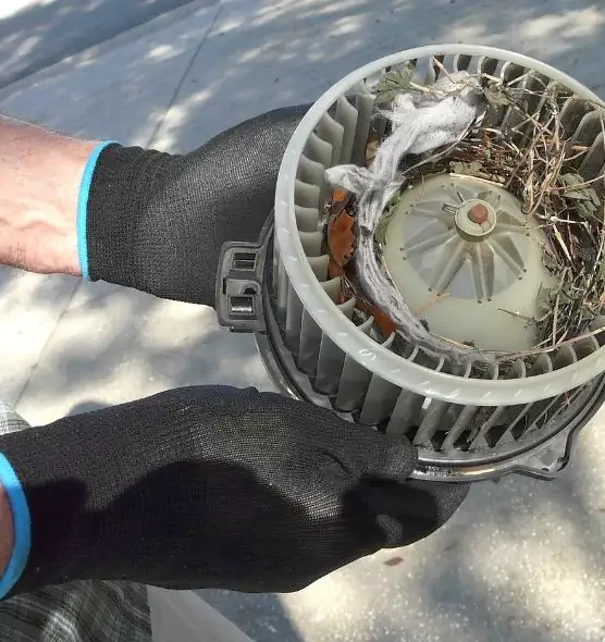 About Air Duct Mice Removal in Gurnee, IL