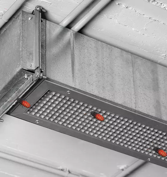 Affordable Insect Removal from Air Ducts in Gurnee, IL