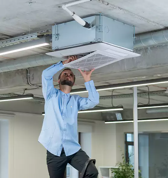 Advanced Rodent Droppings In Vents in Gurnee, IL