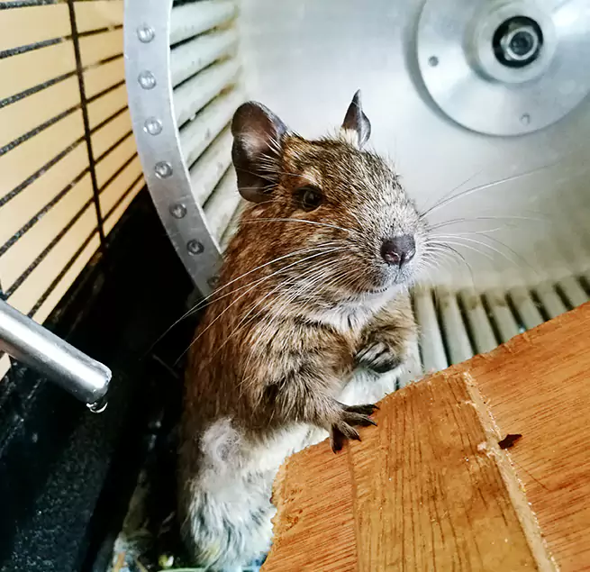 Why Homeowners & Businesses Trust Us Gurnee, IL?